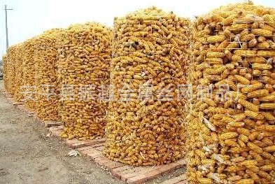 圏玉米电焊网 电焊网-m.czhyzscl.cn