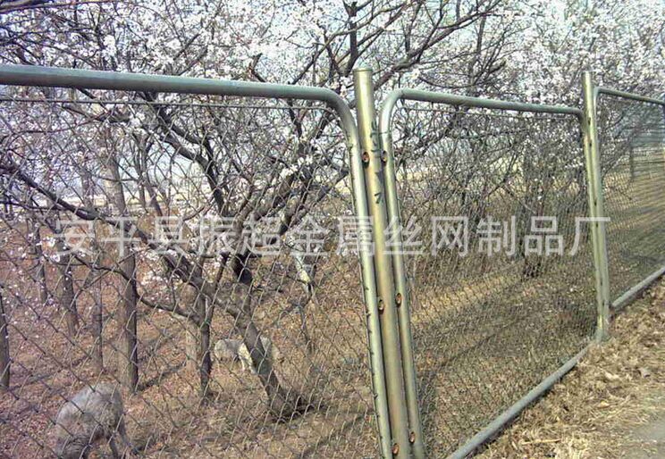种植勾花网 安平县振超金属丝网制品厂-m.czhyzscl.cn