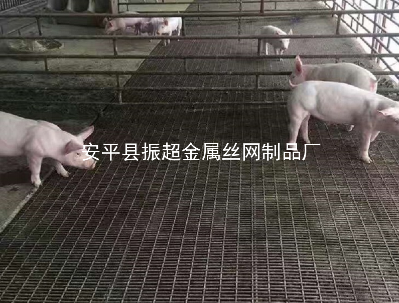 铁丝网保育床,铁丝网产床-m.czhyzscl.cn